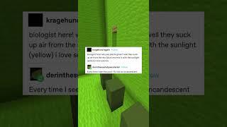 why are plants green?