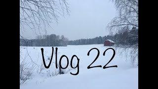 Влог 22. Новые процессы. Подарок. Новита .
