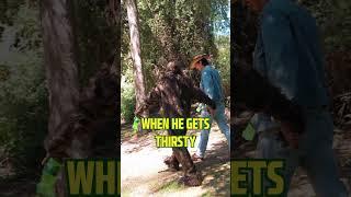 Nature ain't scary when you got a Mountain Dew to share #MountainDew_Partner