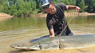 230lb Monster Alligator Gar!!