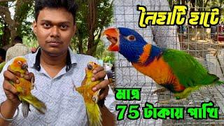 মাত্র 75 টাকায় পাখি কিনুন নৈহাটি হাটে. Naihati Pet Market. Bird Market Naihati.