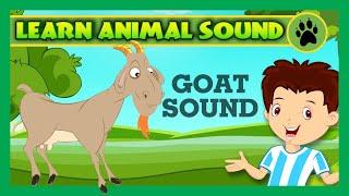 Animal Sound for Children | Goat Sound, Camel Sound, Pig Sound | Kids Hut