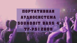 Портативная аудиосистема TF-PS1280B Telefunken-музыка в твоем ритме!