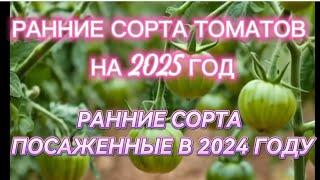 СЕМЕНА РАННИХ СОРТОВ ТОМАТОВ НА СЕЗОН 2025. РАННИЕ СОРТА СЕЗОНА 2024