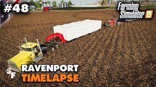 FS19 Timelapse Ravenport #48, Million Dollar Cotton Harvest