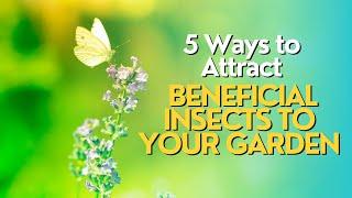 Top 5 Ways to Attract Beneficial Insects to Your Garden