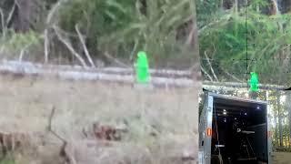 Edgun leshiy 2 Raptor 130 yard soothing test... airgun test