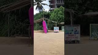 Weligama beach for surfing