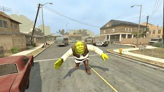 I FLY FROM SHREK IN A HELICOPTER ON GROVE STREET