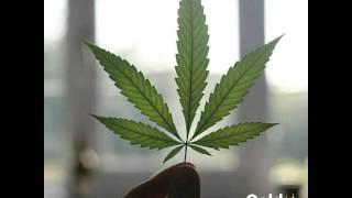 Marijuana Patlamalık 2017 Remix(Offical Video)