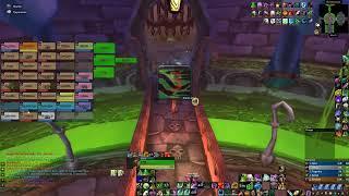 NAXX 54 min! - Druid Resto Pov on Classic Era WoW!