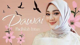 DAWAI - FADHILAH INTAN ( COVER BY SAIFUL MZ)