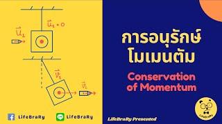 [ฟิสิกส์ / โมเมนตัม] : กฎการอนุรักษ์โมเมนตัม (Ep.4) | LifeBraRy