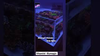 install #vitamini strip led lights for your #reef and #saltwater #aquarium