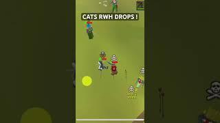 OLD SCHOOL RUNESCAPE CATS RWH FALLS VICTIM TO 13US #osrs #pking #osrsclips #runescape #osrspvp
