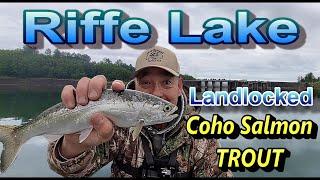 HOW TO CATCH FISH. Plain & Simple Techniques That Work!