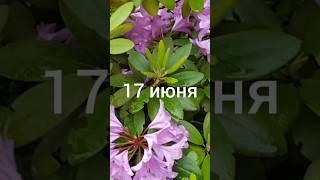 Народный календарь для малышей #shorts #мир#лето#праздник#история#культура#природа #приметы#жизнь