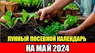 Лунный Посевной Календарь на МАЙ 2024. Воздержитесь от работ в ЭТИ ДНИ!!!