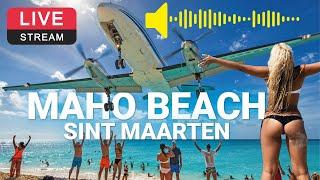 World famous Plane Beach ️ -  Maho Beach SXM Live Cam