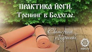 Практика йоги. Тренинг в Бодхгае.