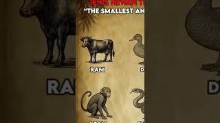 #rani #cow #creatures #animals #animalkingdom #exist #viralvideo