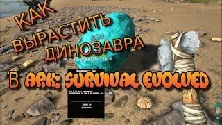 Выращивание динозавров в ark survival evolved