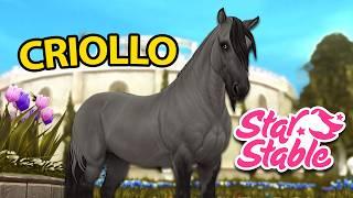 ACHAT DU CRIOLLO | Star Stable - SSO