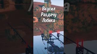 САМЫЙ ДЁРГАНЫЙ КАРПФИШИНГ НА СУРЕ Русская Рыбалка РР4 #shorts #рр4 #сура #русскаярыбалка4 #трофей