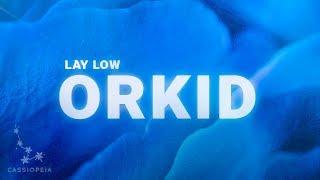 ORKID - Lay Low (Lyrics)