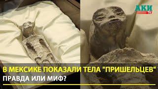 Мумии инопланетян показали на слушаниях в Конгрессе Мексики | Alien corpses shown in Mexico LIVE