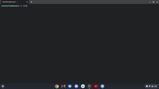 HOW TO INSTALL COSMIC CLIENT ON LINUX CHROMEBOOK