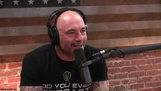 Joe Rogan Experience Podcast on Brock Lesnar JRE clips