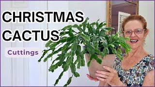 PROPAGATE & PLANT: How to Add Cuttings to Your CHRISTMAS CACTUS for a Fuller Plant