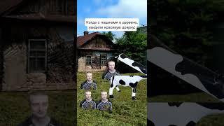 друзья и деревня #юмор #mellstroy #прикол #мем