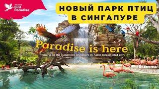 НОВЫЙ ПАРК ПТИЦ В СИНГАПУРЕ - Bird Paradise Admission