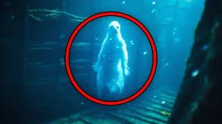 What They Discovered in Titanic Shocked the Whole World!