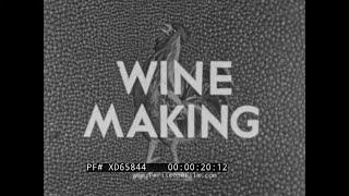 " WINE MAKING "  1948 BRITISH INSTRUCTIONAL FILM   HARVESTING GRAPES, FERMENTING WINE  XD65844