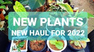 NEW PLANT HAUL FOR 2022 #plantaholic #planthaul