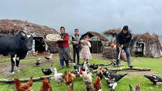 Foraging Wild Mushrooms & Gathering Hazelnuts with Nomads in Northern Iran