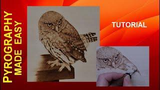 Wood Burning - Pygmy Owl - pyrography tutorial