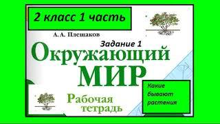 Какие бывают растения 1 задание. Окружающий мир 2 класс рабочая тетрадь. Схема растений