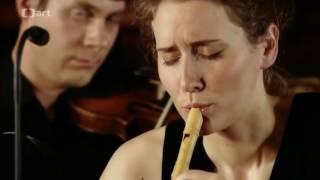 Vivaldi  Concerto for flautino in C major, RV 443 | Anna Fusek