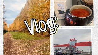 Vlog: Борщ в мультиварке/ осенний лес/гуляем по Ашану