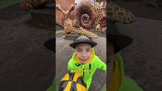 Тренируй баскетбольный фристайл  #трюк #tricks #freestyle #basketball #язакрутил