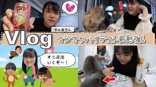 Vlogかんなさん、ネコにじゃまされるテスト前勉強の１日ｗ