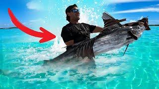 Florida SAILFISH caught on wire