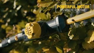 DEWALT® UK | 18V XR POLE HEDGE TRIMMER - DCMPH566 [EN]