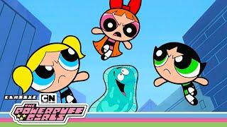 Girls vs. Bacteria (Girls Win) | The Powerpuff Girls | Cartoon Network