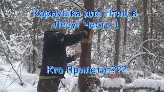 Повесил Кормушку для Птиц в Лесу #1 КТО ПРИЛЕТИТ ? Подкармливаем ПТИЦ в лютую Зиму!