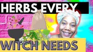 Uncover the 10 MUST-HAVE Herbs for Witchcraft | School of Magick
